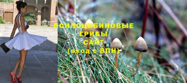 ALPHA-PVP Зеленокумск