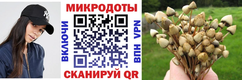Галлюциногенные грибы GOLDEN TEACHER  Кологрив 